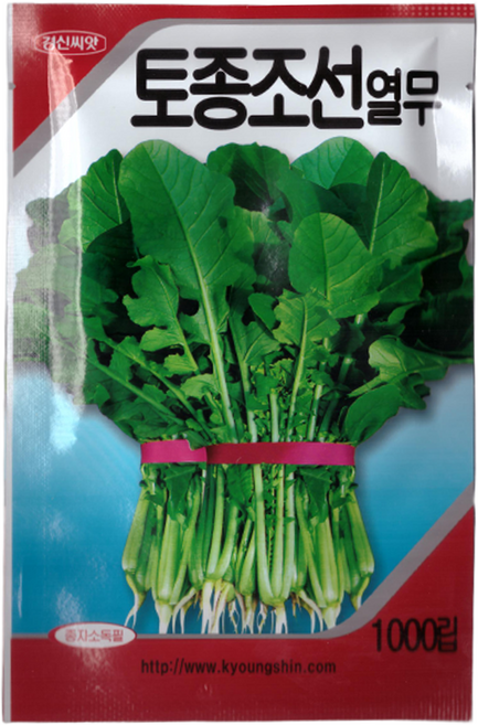 경신 토종 조선 열무 씨앗 1000립, 1개