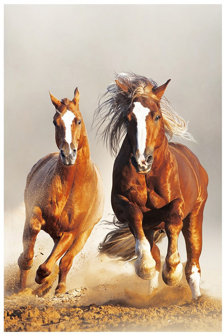 말 그림 팔마도 칠마도 행운 캔버스 액자 사무실 활력 기운 행마도, 26.목표 마도