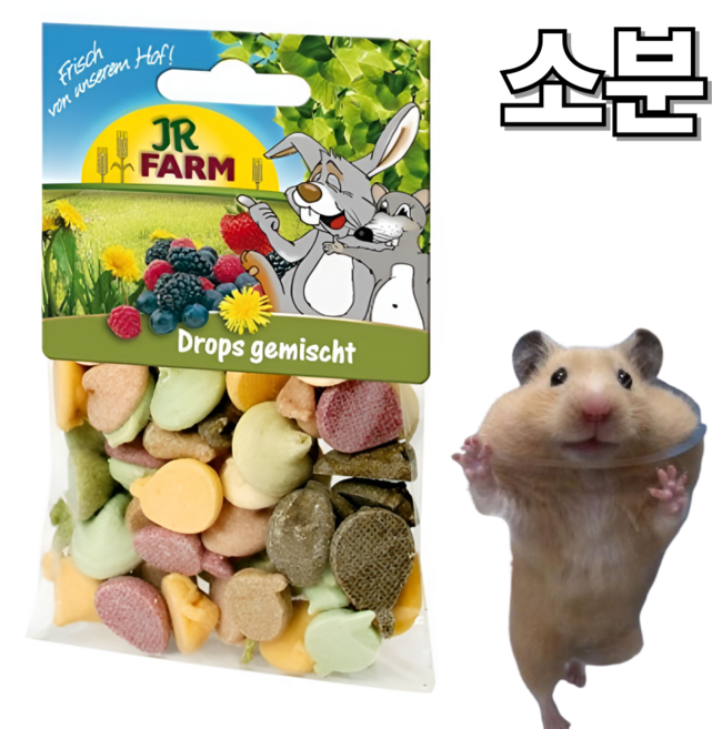 햄스터 친칠라 간식 비타민 드롭스, 1세트, 25g