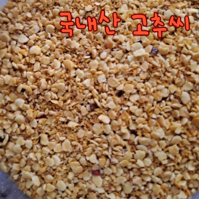 대용량 고추씨 매운맛 대량고추씨 국산고추씨 고추씨분말 매운김장청양고추씨 청량 김장 매운 햇고추씨, 1개, 1kg