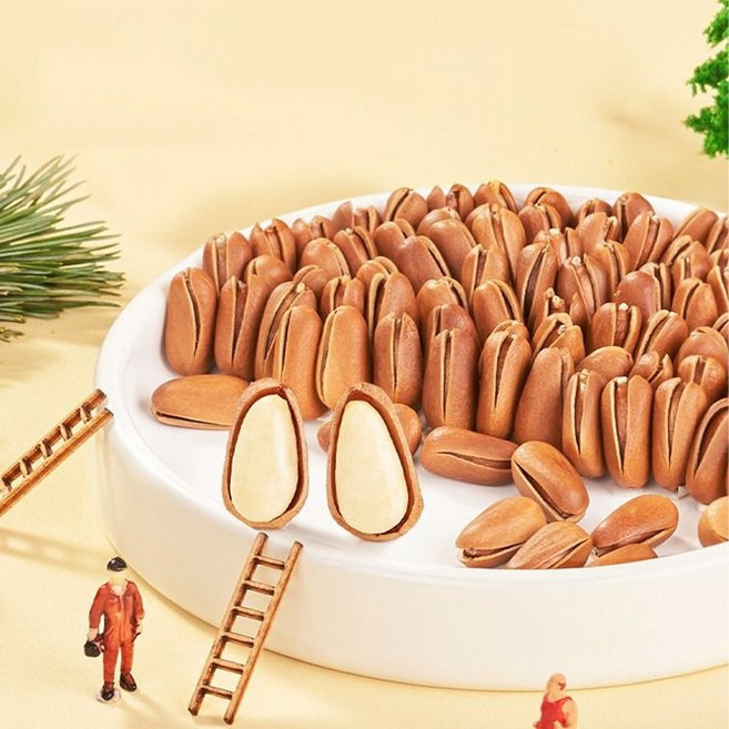 이슬빛 햇잣 야생잣 고소한 백잣 중국산 프리미엄 잣, 1세트, 500g