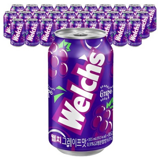 웰치스 그레이프 포도 355ml x 48개입, 48개