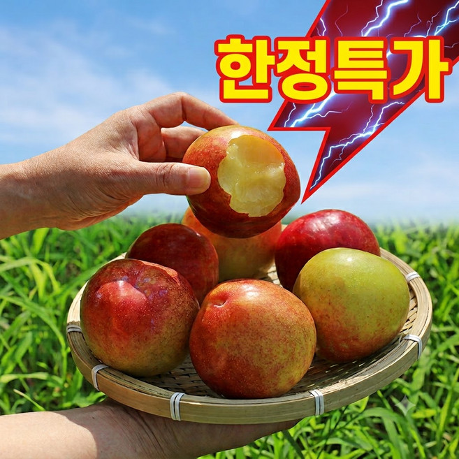 산지직송 제철 고당도선별 달콤 자두 후무사 프리미엄, 1개, 2kg(특과)