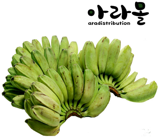 아라몰 그린 사바 바나나 (Green Saba Banana), 1.5kg, 1박스