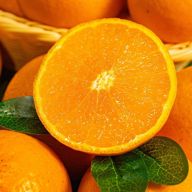 [제주직발송] 최저가보장 가성비 천혜향 (못난이), 1박스, 10kg