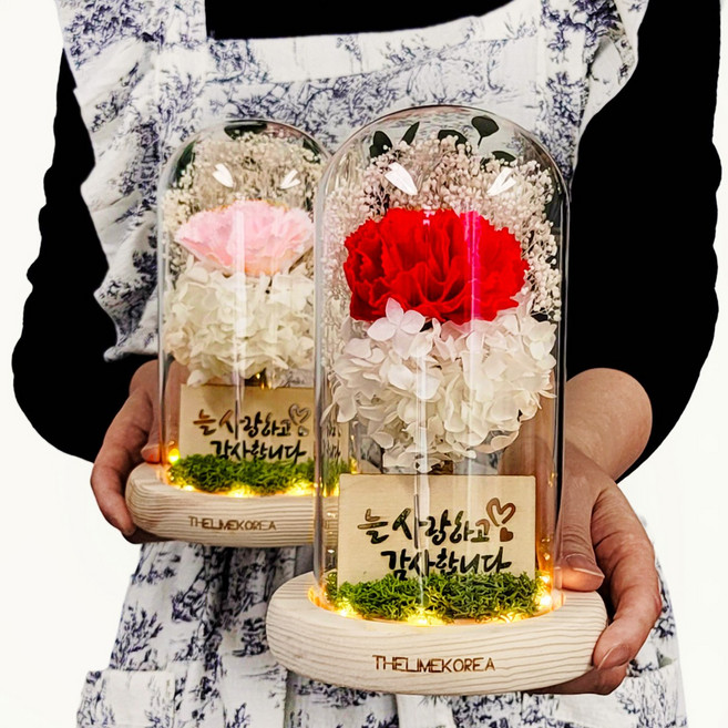 어버이날 카네이션 LED 무드등 유리돔 부모님 선물 꽃조명, 레드, 1개