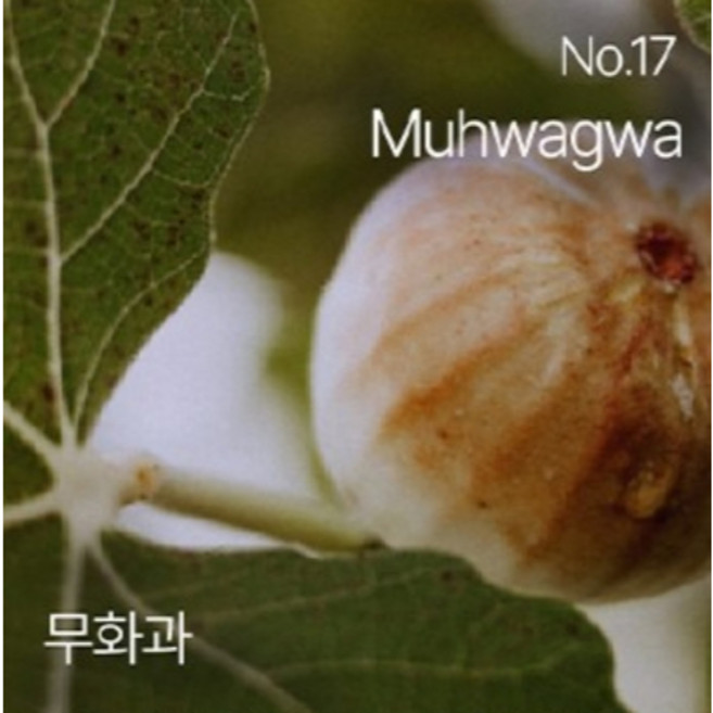 hetras 香氛沐浴乳 1013ml, 1個, 沐浴乳#17無花果 Muhwagwa, 1.013kg