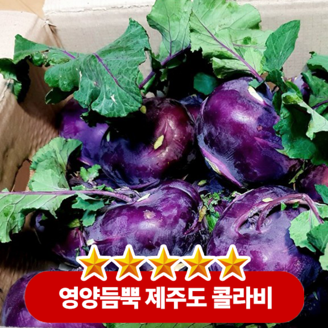 [재구매1위]산지직송 제주산 아삭한 콜라비 당도보장 프리미엄 콜라비, 1박스, 5kg
