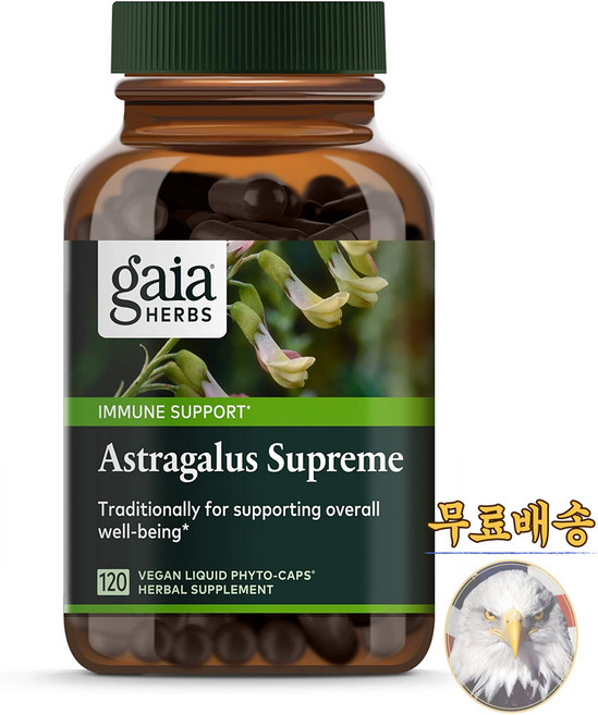 미국산 가이아허브스 황기 아스트라갈루스 120베지캡슐 Gaia Herbs Astragalus 선물증정, 1개, 120정