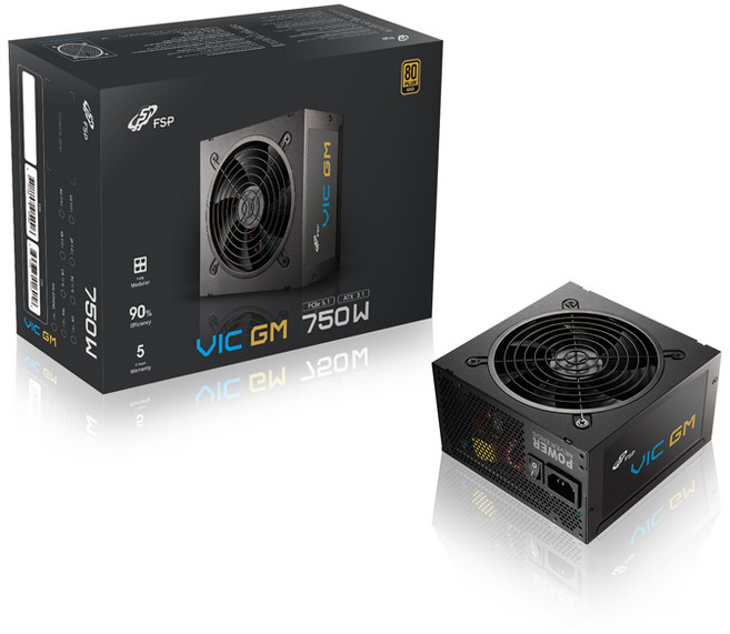 FSP VIC GM 80PLUS 골드 풀모듈러 ATX3.1 파워서플라이 PC 컴퓨터 파워, 750W