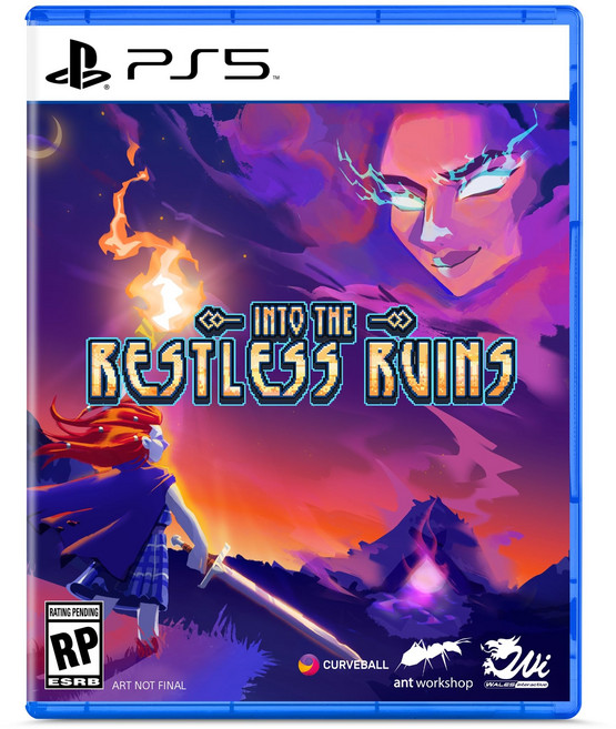 Into The Restless Ruins (수입판 : 북미) - PS5