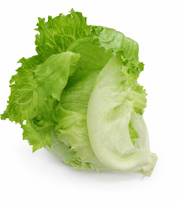 맛통령 국내산 양상추 1통, 4개, 500g