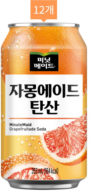해태htb 미닛메이드 자몽에이드 탄산, 355ml, 12개