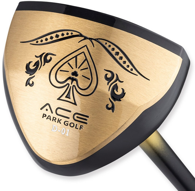 에이스 카본 파크골프채 세트 공인인증 파크채 파크골프 클럽, D-01 채포함2종
