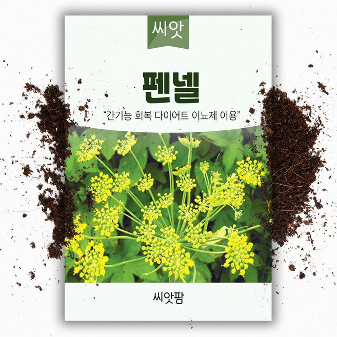 씨앗팜 허브 펜넬 씨앗 (2g), 1개
