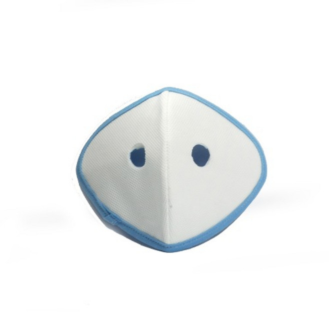 에이퓨리 에어가드 미세먼지마스크 전용 필터 10장, 10개