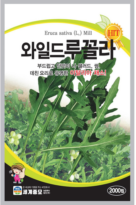 주주씨앗 와일드루꼴라 2000립 채소씨앗 루꼴라씨앗 쌈채소 상추 이탈리아채소 샐러드, 6개