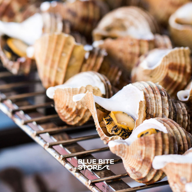 냉동 자숙 위소라 슬라이스 위고동살 소라살 위소라채, 1개, 250g