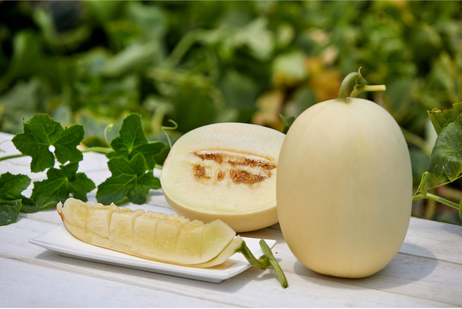 산지직송 국내 설향메론 2kg, 1개, 4kg 내외