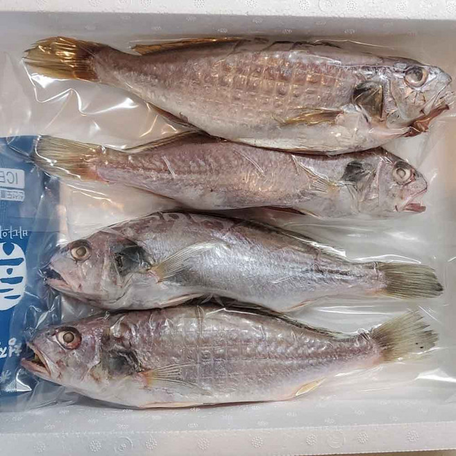 국내산 반건조 백조기 3미 2팩 (23cm~25cm))-제수용반찬용, 2세트