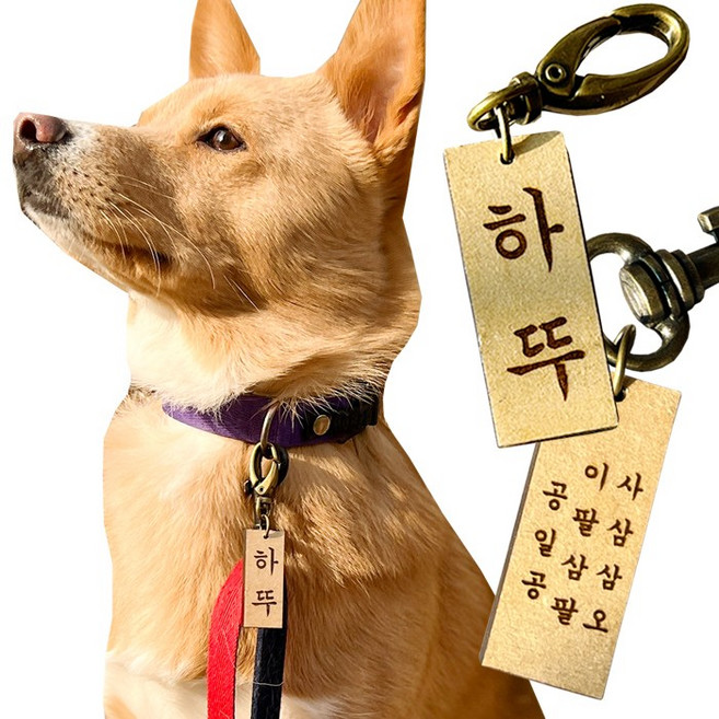 댕댕이가게 주문제작 강아지 고양이 명찰 인식표, 결제시 [필수 추가정보 입력] 란이 활성화됩니다, 숫자, 1개