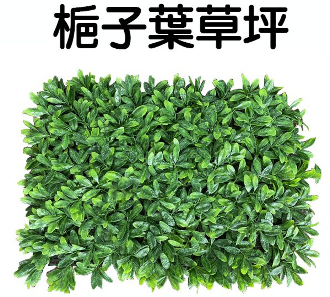 人工草皮 植物牆背景牆, 1個, 梔子葉草坪40x60一片