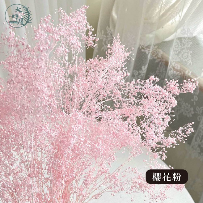 大好屋 迷你滿天星 百萬星 永生花乾燥花 花藝配花 室內裝飾, 百萬星, 櫻花粉