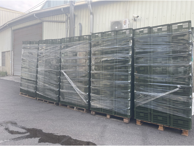 台灣製 塑膠物流籃 工具籃 儲物收納籃 水果籃 菜籃, 綠, 1個