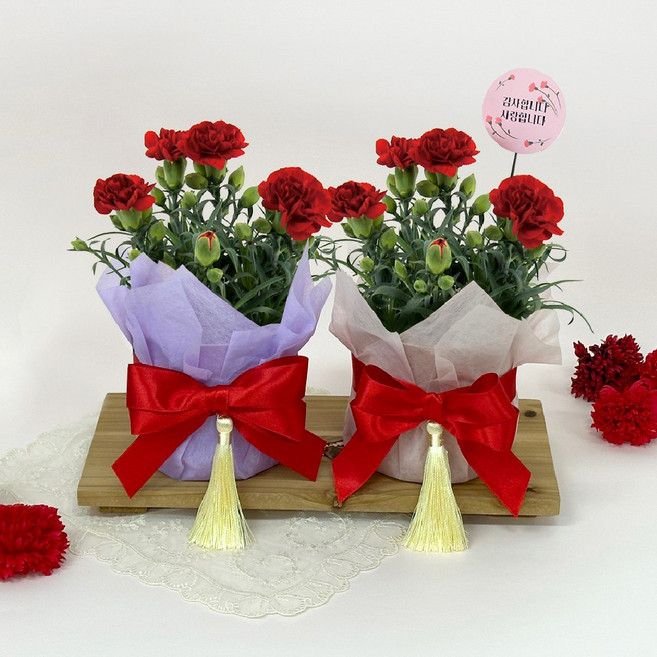 감동샵 카네이션 리본 포트 화분 SET 어버이날 생화 선물, 1개, 3. 라벤더+베이지SET