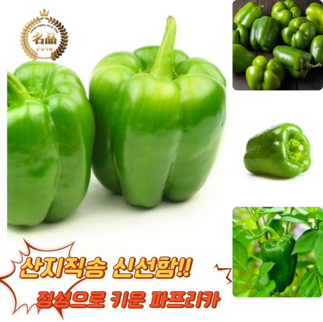 [굿피플] 청피망 청파프리카 초록피망 파프리카 피망 피망파프리카 못난이청피망 홍피망, 1박스, 청피망 1kg [못난이]