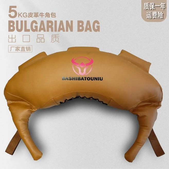 불가리안백 모래주머니 스쿼트 웨이트 홈짐 백, 1kg, 카키 5kg