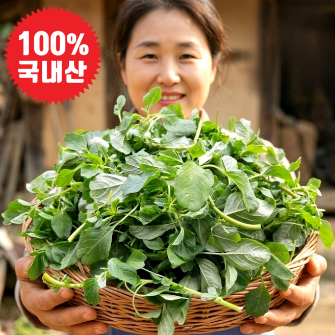 [국산] 당일수확 비름나물 제철 봄나물, 1개, 1kg