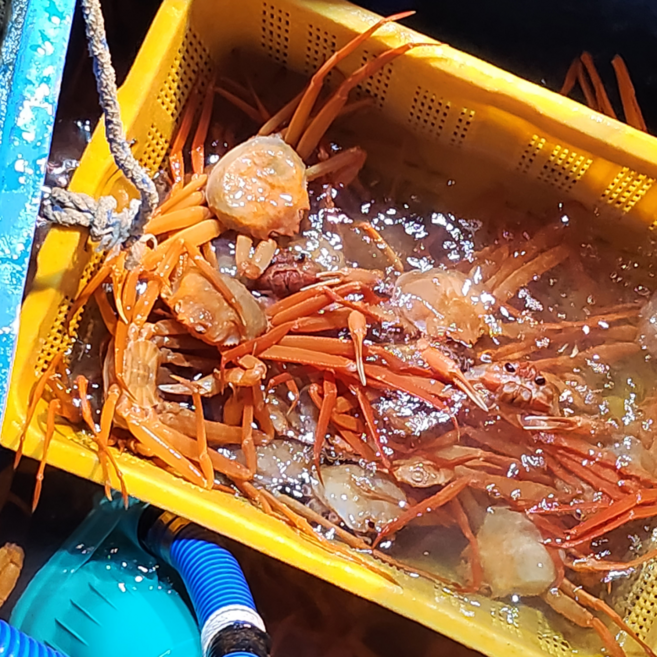 당일조업 구룡포 자숙 박달홍게, 1박스, A급 5kg (15-18미 내외) 수율 80%