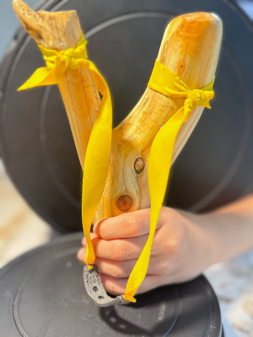 太行崖柏 彈弓, 如圖所示, 1個