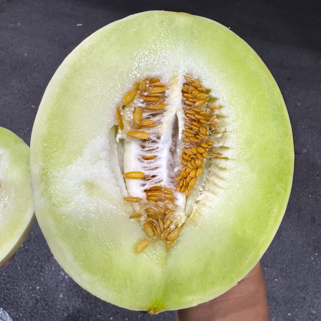 프리미엄 허니듀멜론 초고당도 선물용 미국산 수입 메론, 2개, 2kg
