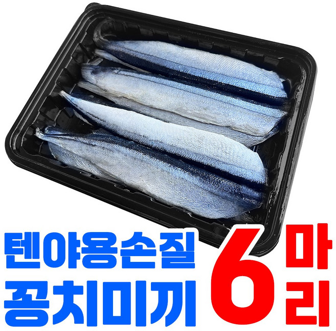 10+1 텐야 텐빈용 손질 꽁치 미끼 간편하고 싱싱한 꽁치미끼 갈치낚시 선상 텐빈 생미끼 붕장어 우럭 열기 바다낚시미끼, 6개