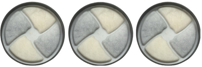 MAAH 강아지 반자동 급수기 2L 대용량 물그릇 필터 세트 PBW-06, 3개, 그레이