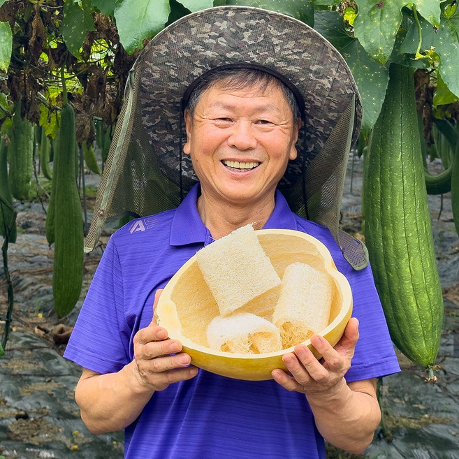 [국내생산] 만채농장 직접 재배 65cm고퀄리티 천연수세미 친환경 제로웨이스트 주방 설거지, 1세트, 1개입