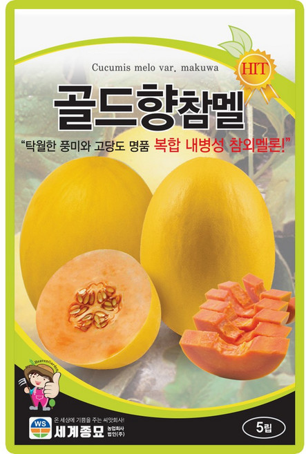 산들마켓 골드향참멜 멜론씨앗 5립 저장성 우수하고 복합 내병성 명품 멜론씨 종자, 3개