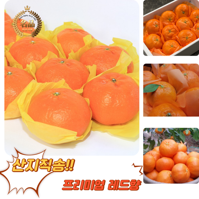 [굿피플] 레드향 레드향선물세트 한라봉 황금향 과일선물세트 [레드향 3kg 중소과 선물세트], 1박스