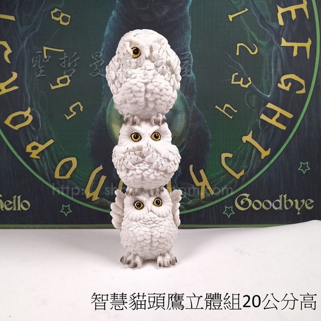 智慧貓頭鷹立體組20公分高 雕像/擺件