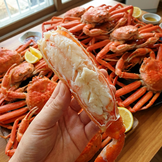 수미해산 [산지직송] 구룡포 프리미엄 박달홍게 3kg 5kg 자숙 무료 꽉찬수율, 1개, 프리미엄 박달홍게 3kg (9-11마리)