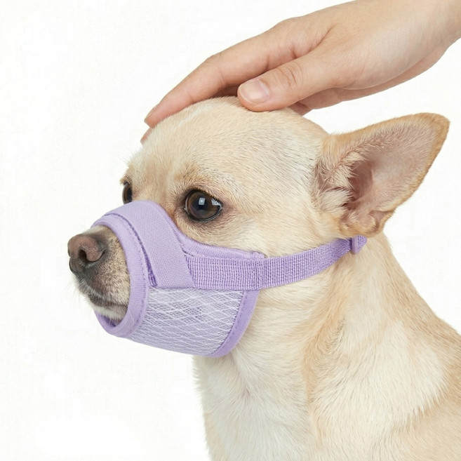 렛츠독 강아지 벨크로 경량 메쉬 입마개 산책용 훈련용 마스크 S, 1개, 메쉬퍼플