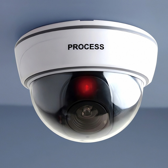 돔형 모형 CCTV 건전지형 감시카메라 무선 전원 장치 감시 시스템 보안 장비 택용, 본상품