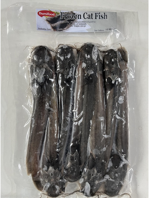 메기 캣피쉬 레레 래래 cat fish LELE CA TRE CAT KHUC frozen bumifood, 1개, 700g
