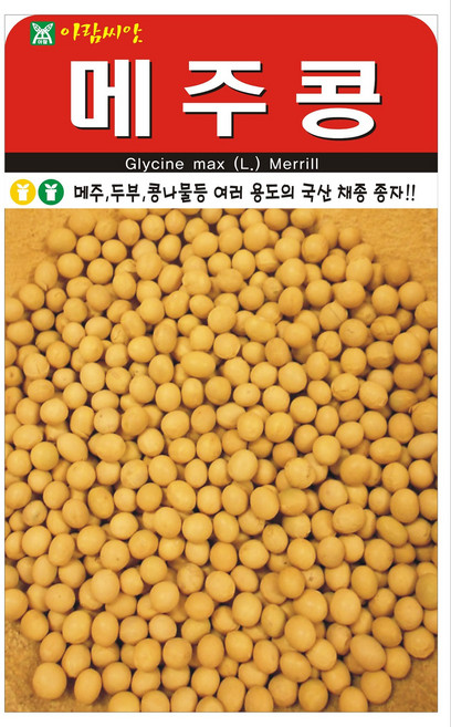 메주콩 씨앗 종자 씨, 2개