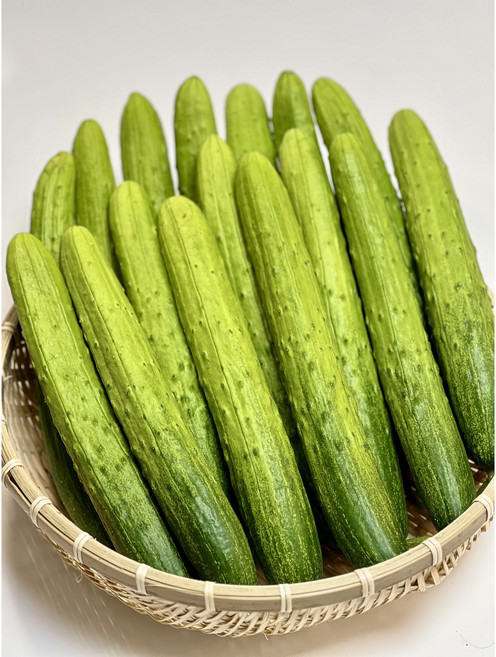 [산지직송 당일수확] 천안아우내 오이 백다다기 백오이 오이지용 소박이용 - 쿠쿠팜 악어오이, 15개, 특등급 3kg