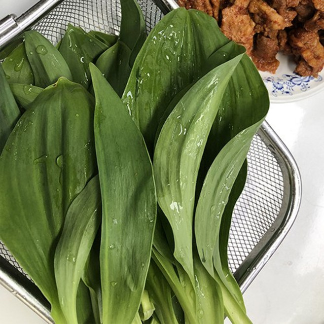 강원도 명이나물 산마늘 명이 잎 생나물 산지직송, 1박스, 6kg