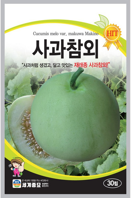 모칸도 사과참외 씨앗 30립 세계종묘 과일씨앗 야채씨앗 열매씨앗, 1개