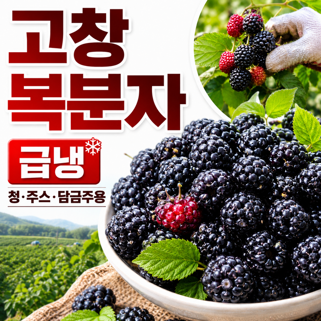 고창 토종 복분자 급냉 국내산 냉동 복분자 청 주스 담금주용 2.5kg 5kg 10kg, 1박스, 복분자 1kg 특품(트레이포장)